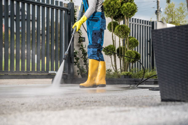 Best Gutter Cleaning  in Higganum, CT
